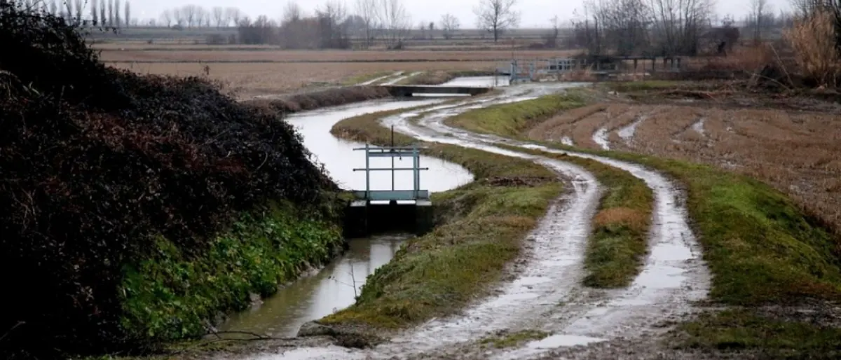 Il maltempo devasta le campagne, Coldiretti: «Terreni sott’acqua e produzioni a rischio»