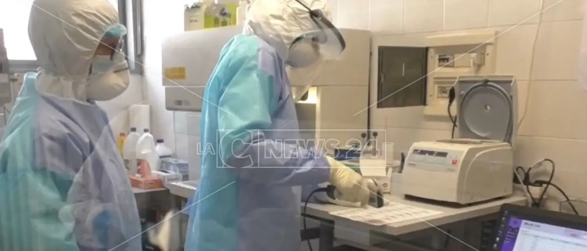 Covid Calabria, crollano i contagi (295) ma con meno tamponi: nel bollettino anche due morti