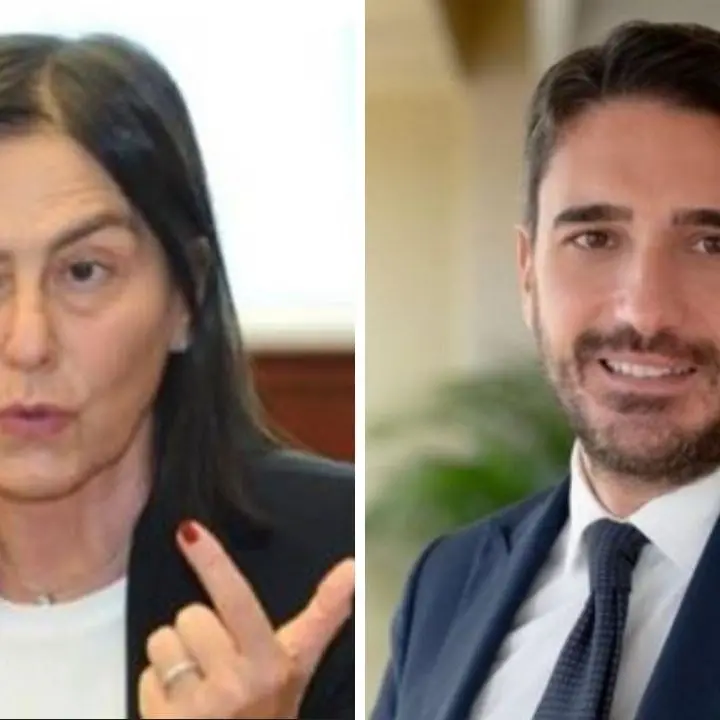 La decadenza di Enza Bruno Bossio e l’elefante nella stanza del Pd