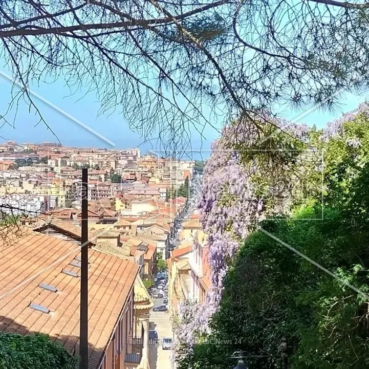 Indice di criminalità, Vibo Valentia è la città italiana in cui si segnalano più denunce per minacce