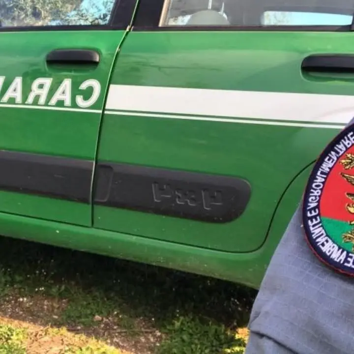 Arresti nel Crotonese, dal “cattivo” luogotenente al brigadiere «rompicoglioni»