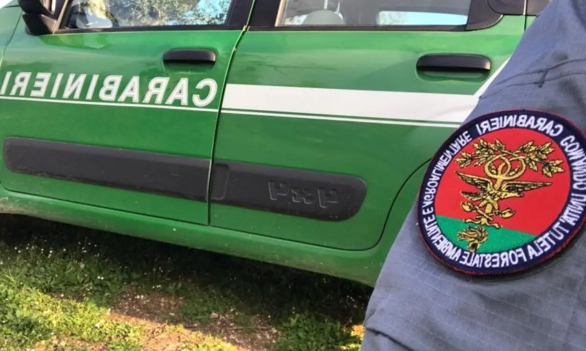 Arresti nel Crotonese, dal “cattivo” luogotenente al brigadiere «rompicoglioni»