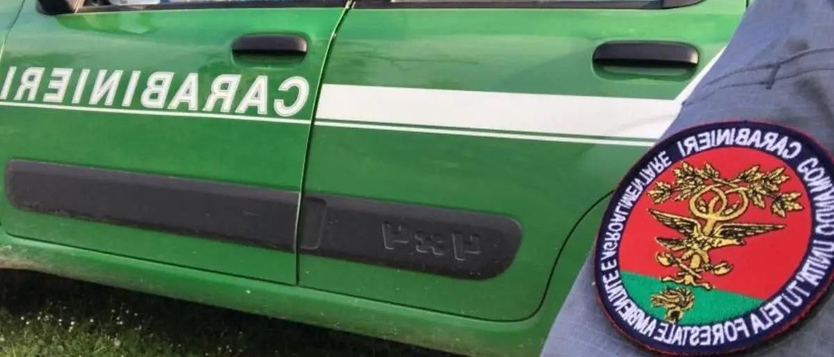 Arresti nel Crotonese, dal “cattivo” luogotenente al brigadiere «rompicoglioni»