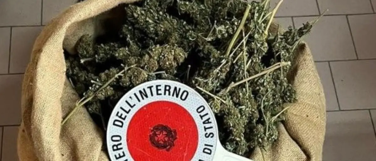 Droga, oltre 6 chili di marijuana scoperti e sequestrati nel Crotonese: indagini in corso