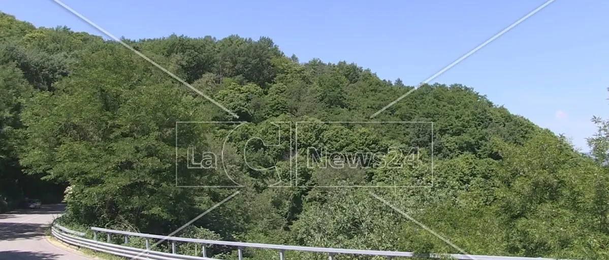 Arresti nel Crotonese, Legambiente. «Le indagini confermano l’interesse delle cosche nella gestione dei boschi»