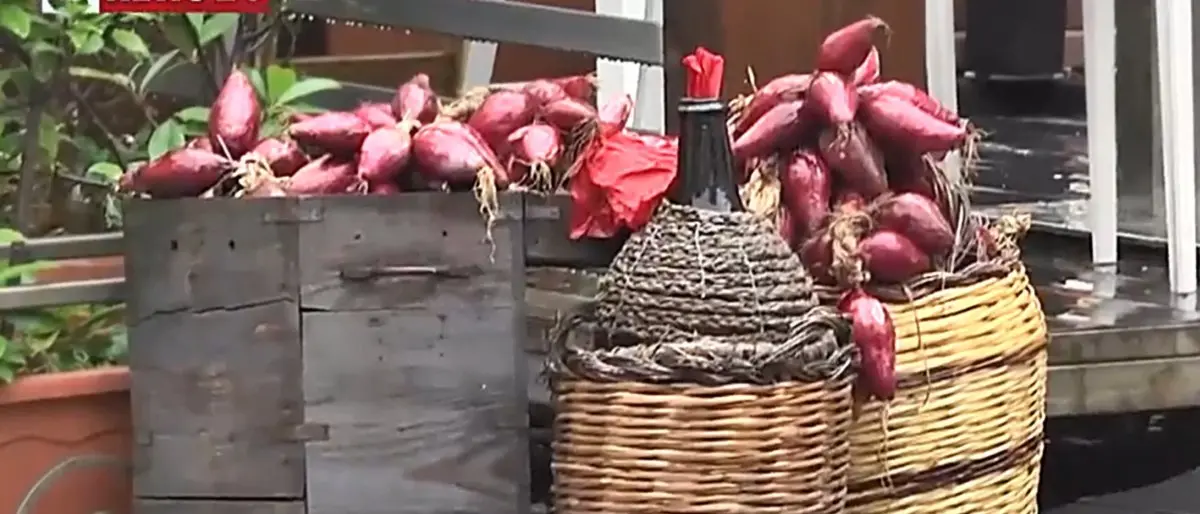 Turismo ed enogastronomia, nasce a Tropea la confraternita della cipolla rossa