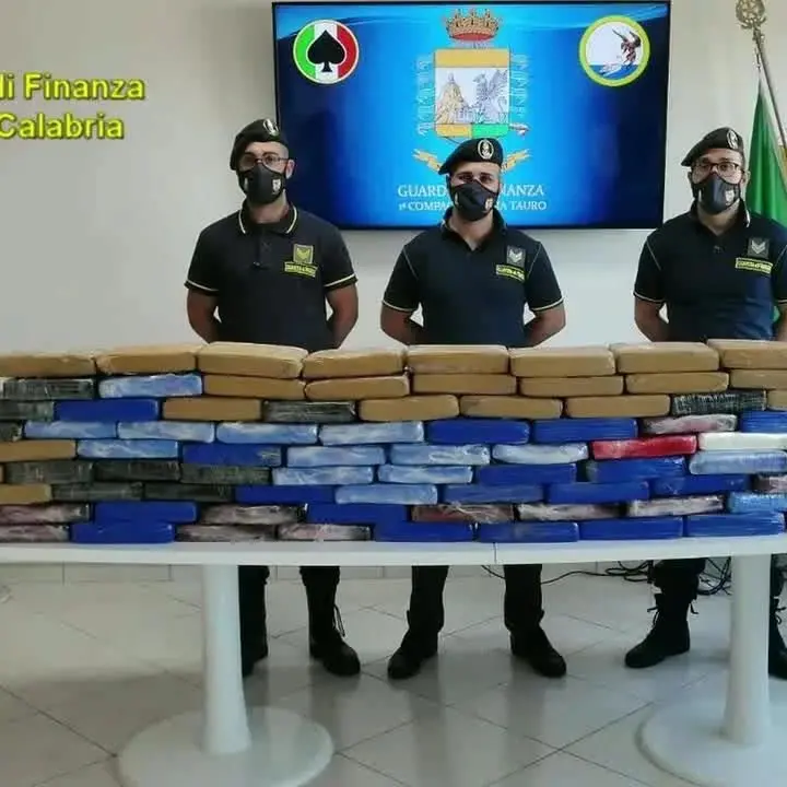 Narcotraffico, il lungo legame tra il clan e il porto di Gioia: quintali di coca e soldi per i boss calabresi