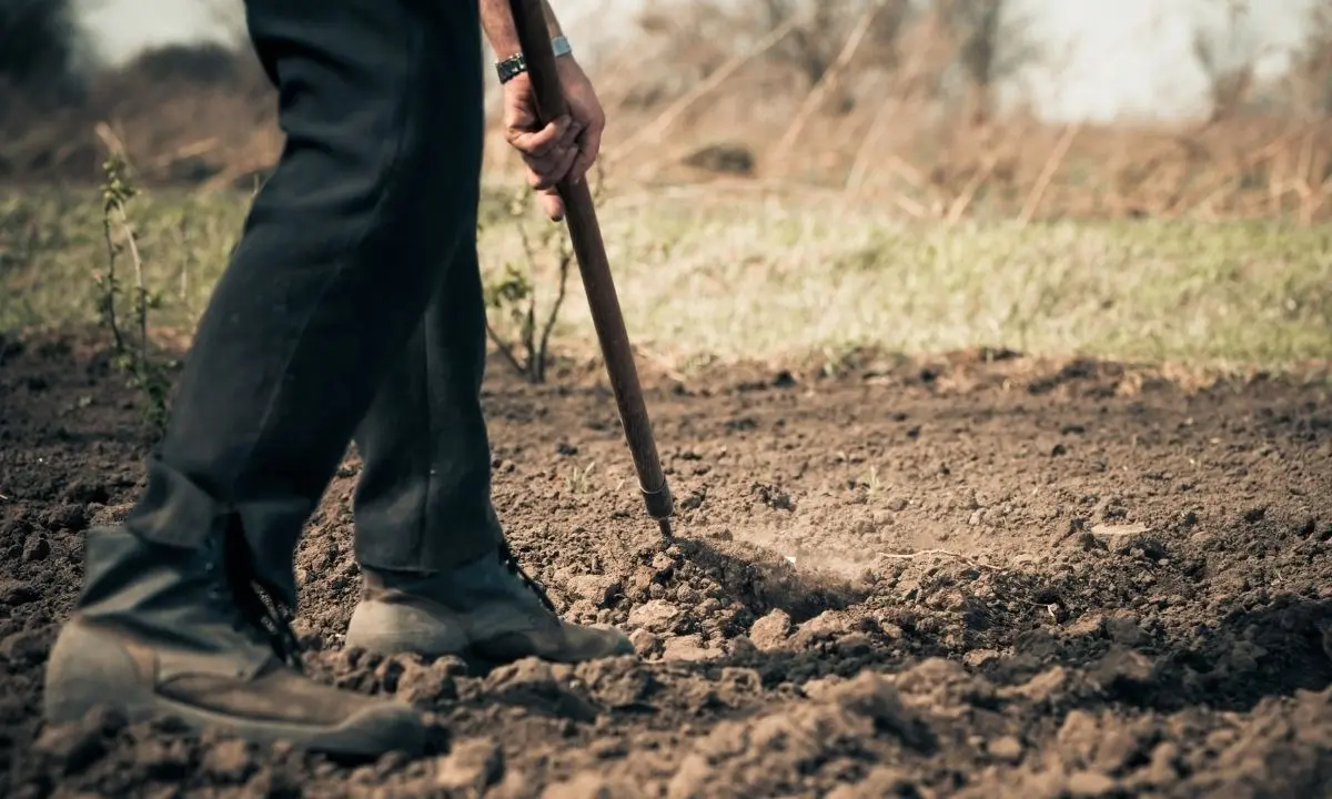 Dalla Regione 9 milioni alle aziende agricole calabresi per i progetti ammessi ma non finanziati