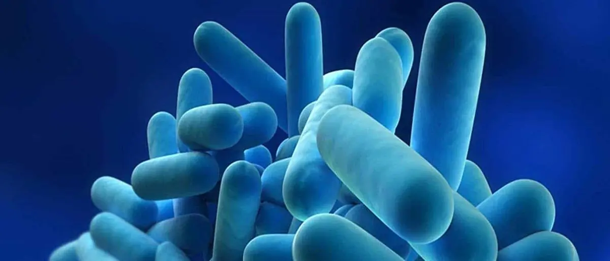 Legionella, accertato un caso a Catanzaro: al via il campionamento dell’acqua