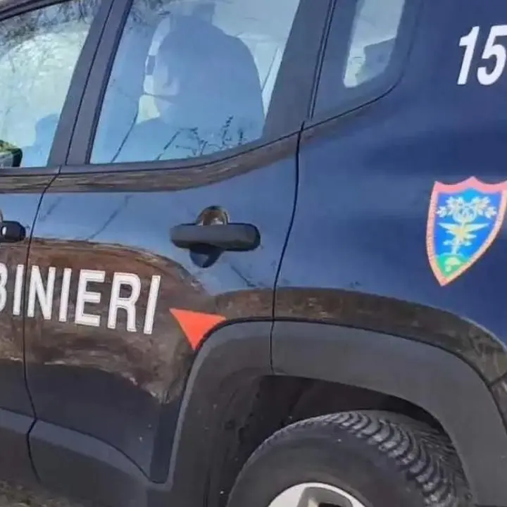 I reflui fognari di Zungri scaricati in un torrente, i carabinieri sequestrano un impianto