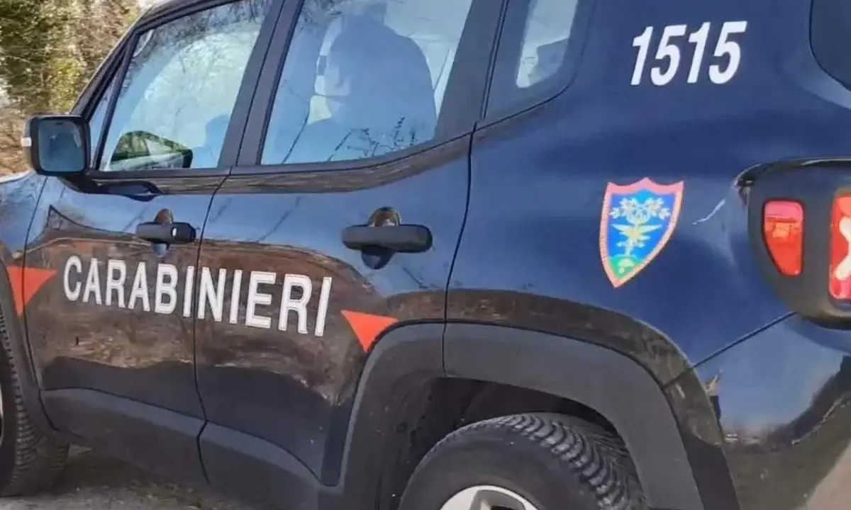 I reflui fognari di Zungri scaricati in un torrente, i carabinieri sequestrano un impianto