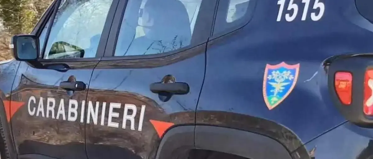 I reflui fognari di Zungri scaricati in un torrente, i carabinieri sequestrano un impianto