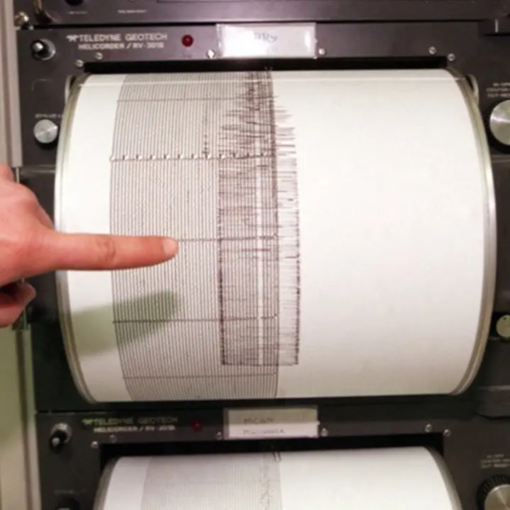 Terremoto Calabria, verifiche nelle scuole: «Regione ad altissima pericolosità sismica, serve investire sulla prevenzione»