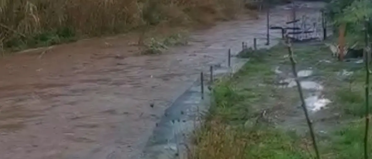 A Lamezia il fiume che ha ucciso Stefania e i suoi bimbi fa ancora paura, cittadini esasperati: «Si intervenga»