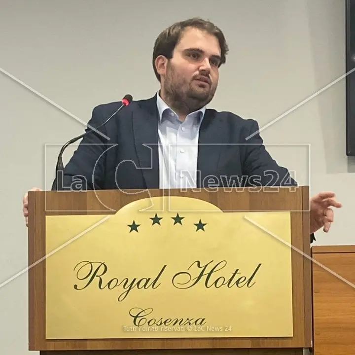 Cosenza, il j’accuse del segretario provinciale Pd: «Sud e Calabria senza voce nel partito nazionale»