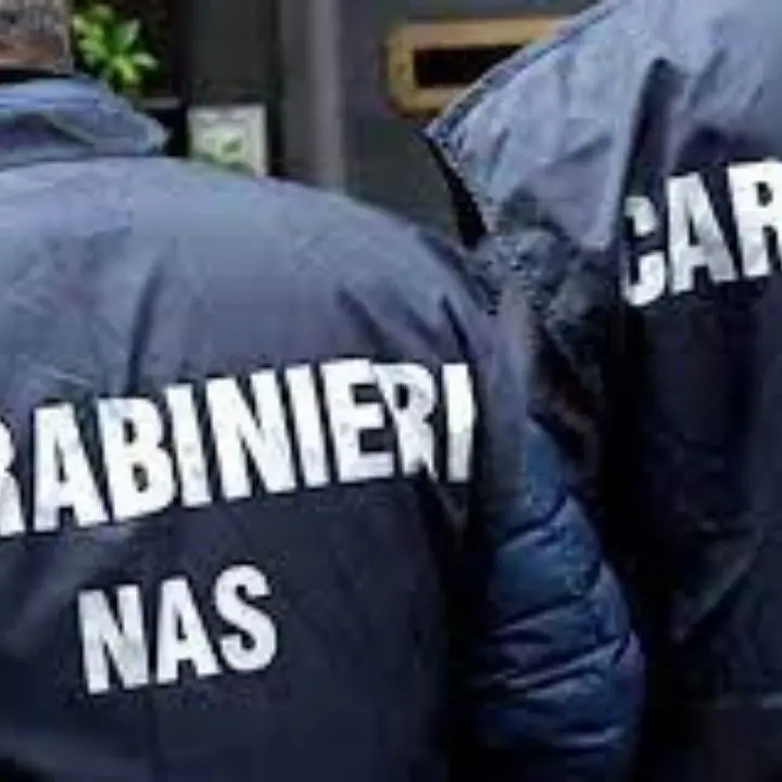 Contaminazioni degli alimenti da listeria, tre sequestri dei Nas nel Reggino