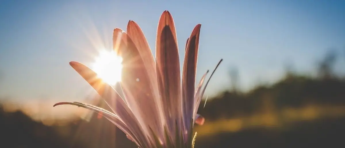 Meteo, sole e temperature oltre le medie: in Calabria settimana nel segno del bel tempo