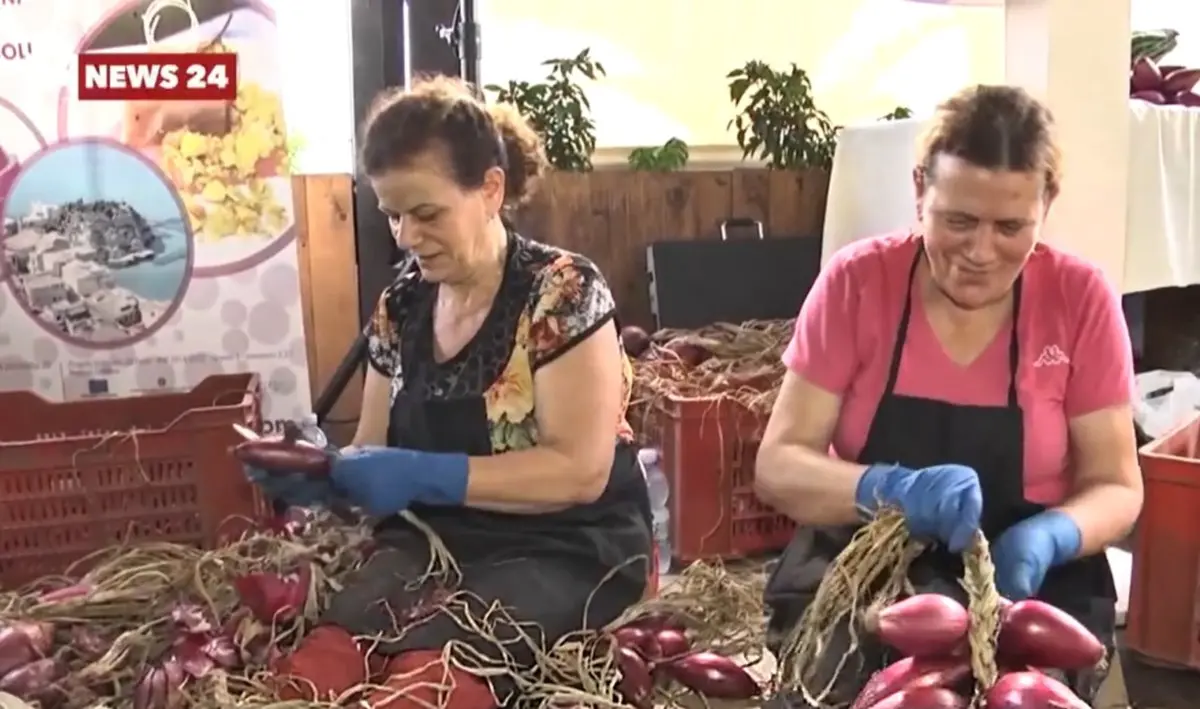 Cipolla Igp di Tropea, la “rossa” simbolo della Calabria nel mondo: in 10 anni produzione decuplicata