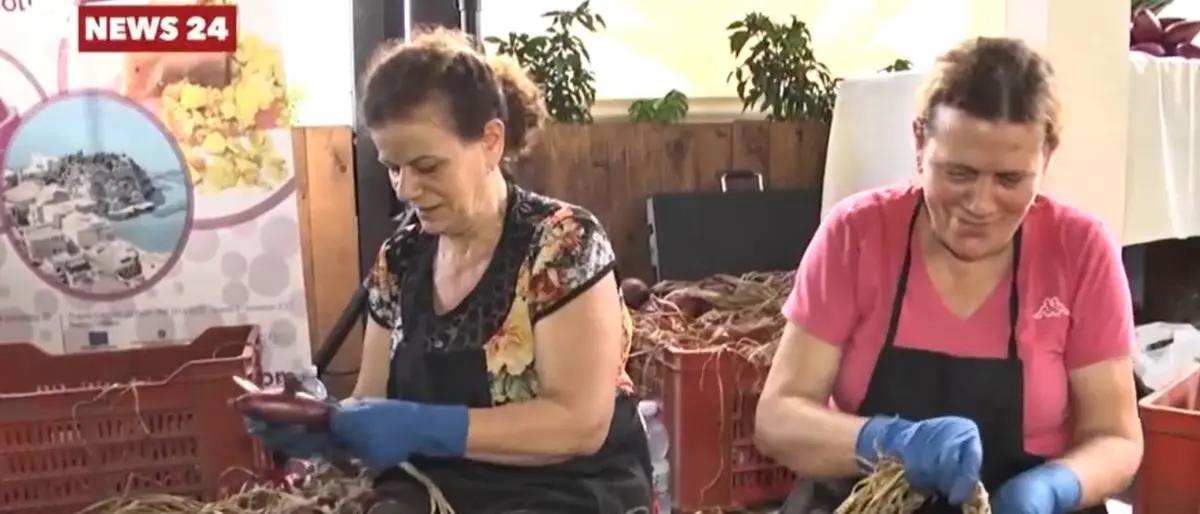 Cipolla Igp di Tropea, la “rossa” simbolo della Calabria nel mondo: in 10 anni produzione decuplicata