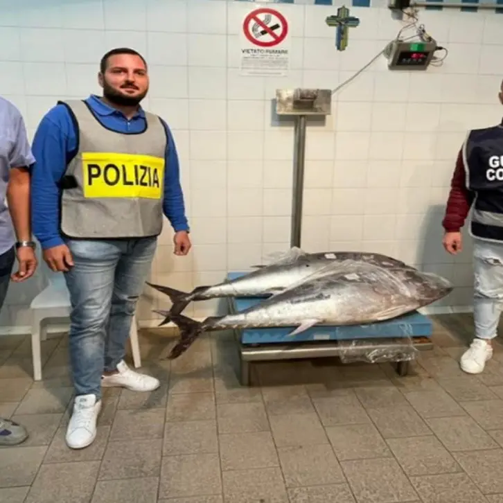 A Cirò Marina sequestrati 190 chili di prodotto ittico non tracciato: multa da 1500 euro per il trasportatore