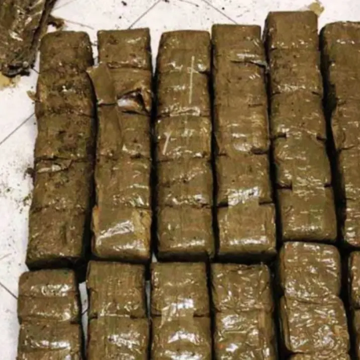 Droga in Sicilia, 17 misure cautelari e 140 chili di hashish sequestrati