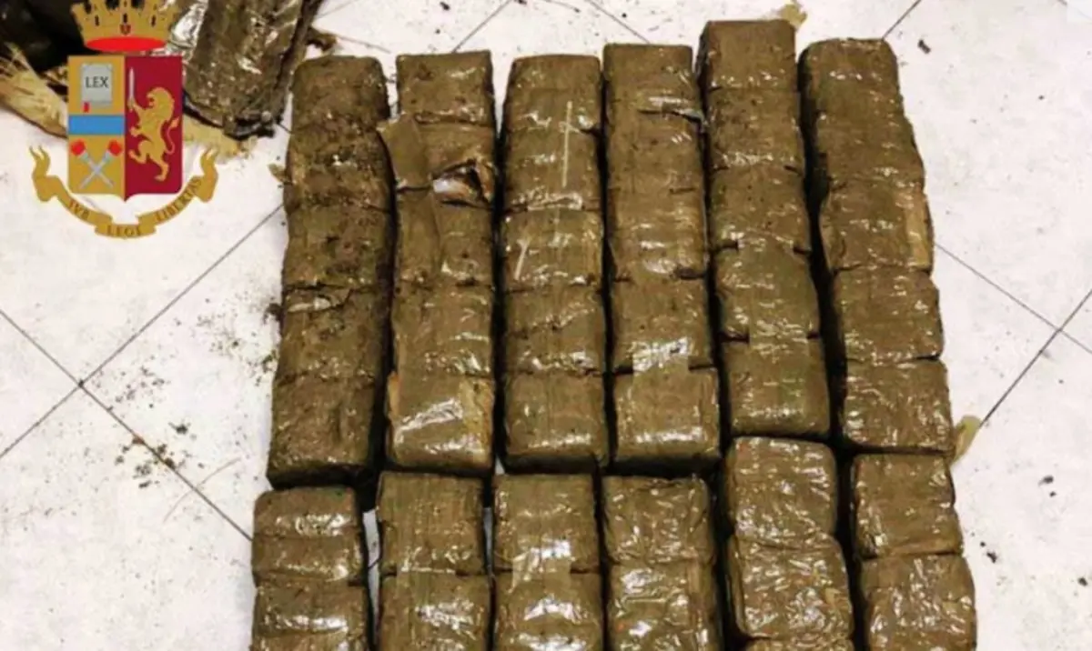 Droga in Sicilia, 17 misure cautelari e 140 chili di hashish sequestrati