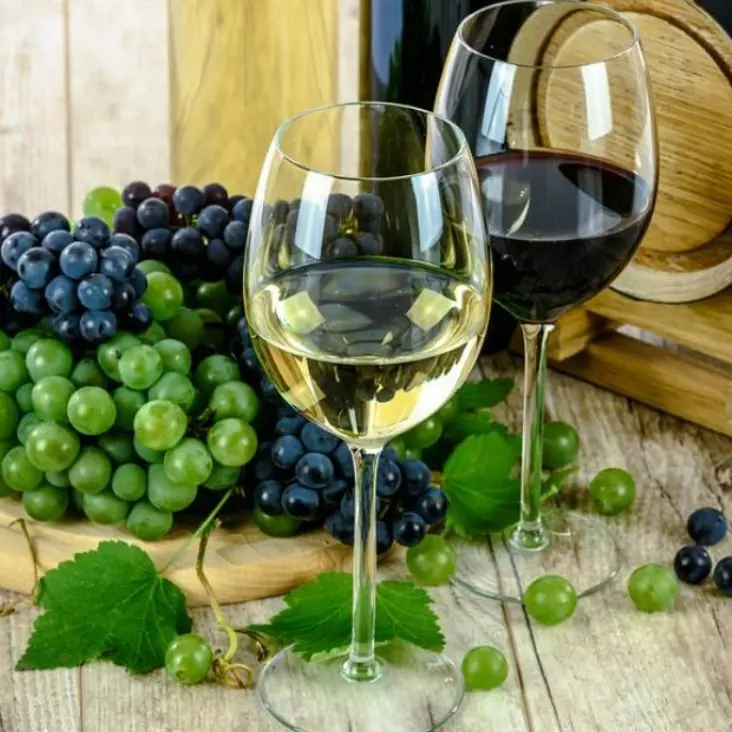 Migliori vini del Mezzogiorno, premiate anche nove aziende calabresi