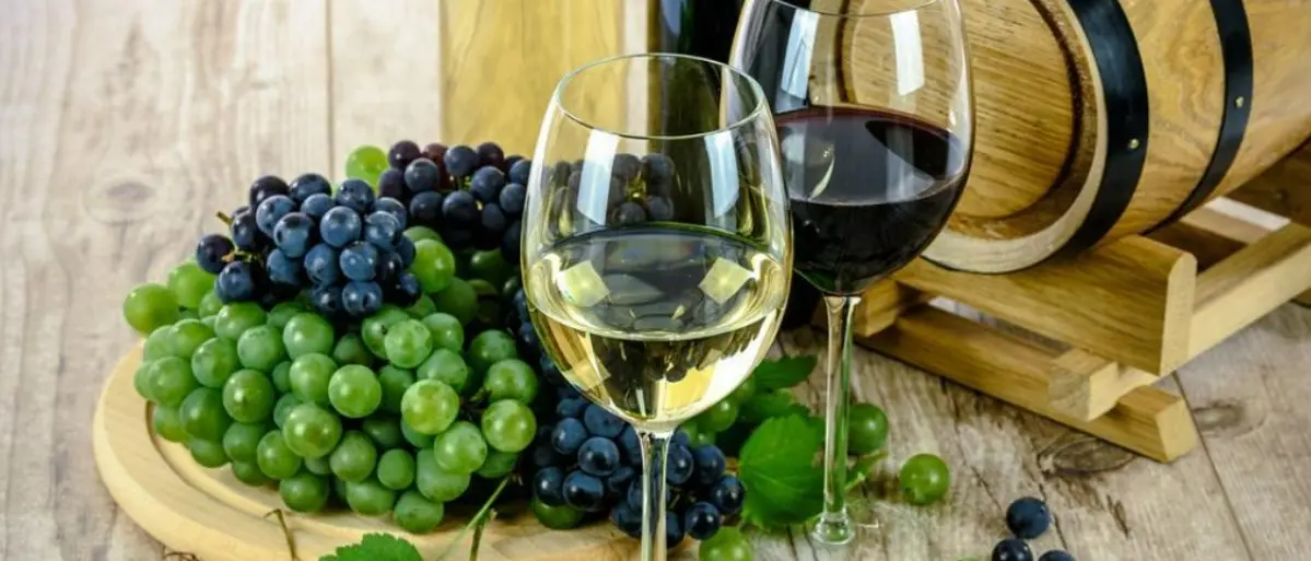 Migliori vini del Mezzogiorno, premiate anche nove aziende calabresi