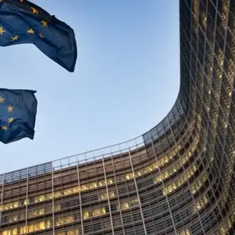 Delegazione di eurodeputati in missione in Calabria: visite al porto di Gioia Tauro e alla sede della ProCiv