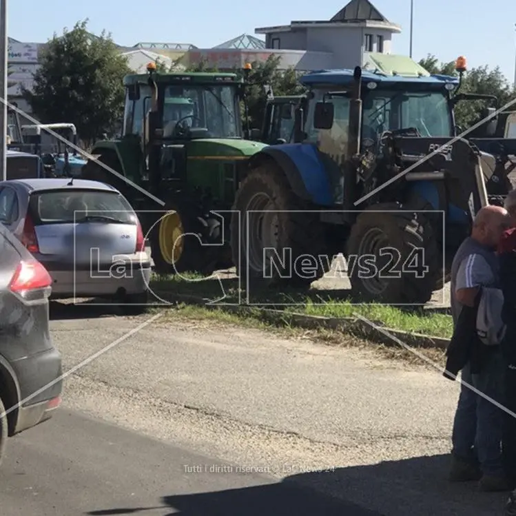 Manca l’acqua, gli agricoltori crotonesi bloccano la statale 106: a rischio la coltivazione dei finocchi