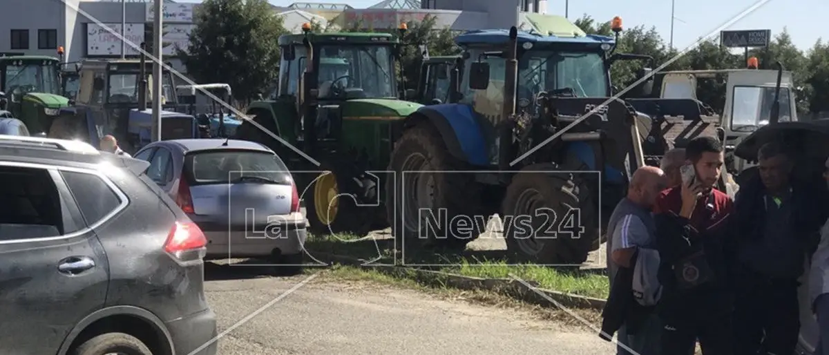 Manca l’acqua, gli agricoltori crotonesi bloccano la statale 106: a rischio la coltivazione dei finocchi