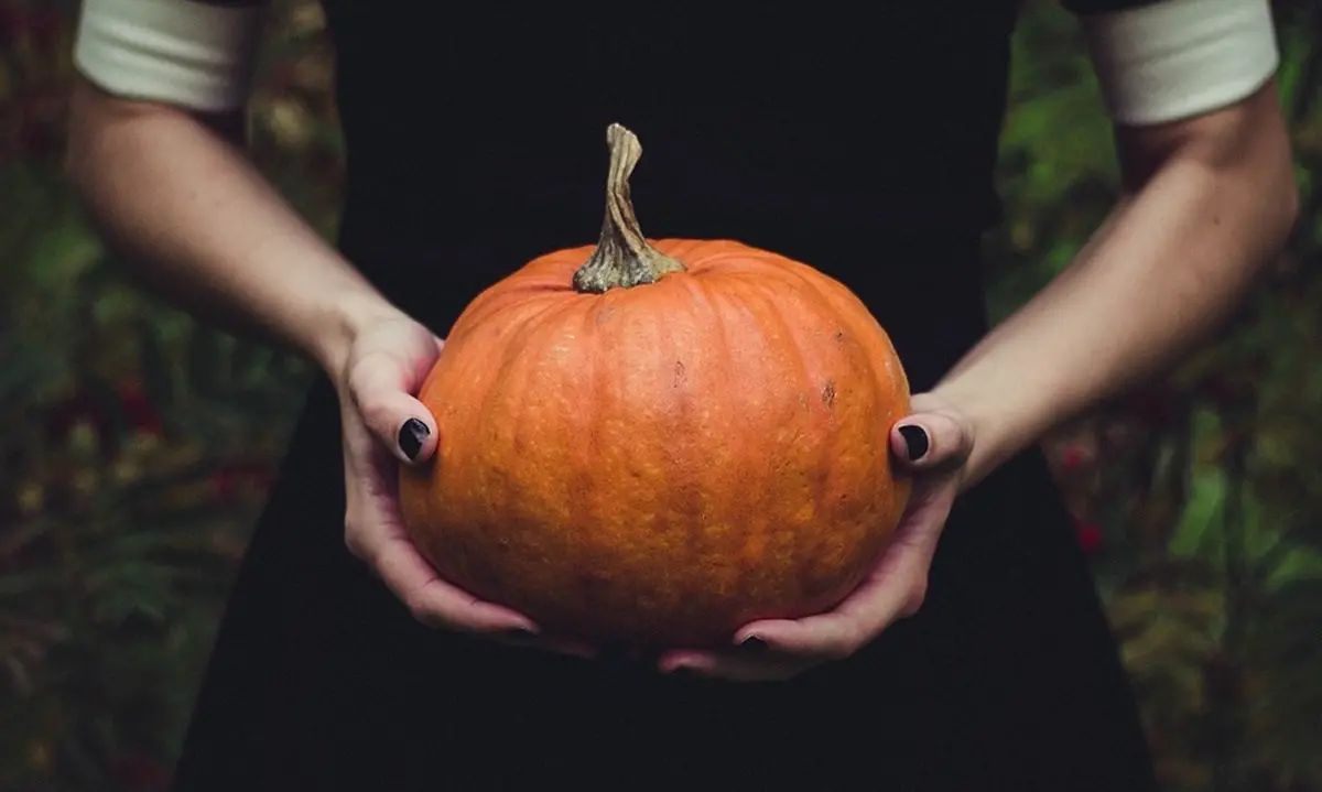 La festa di Halloween ha anche origini calabresi? Ecco lo studio che lo dimostra