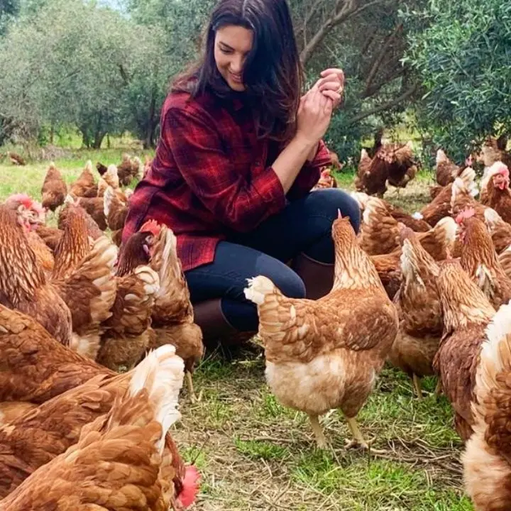 Antonella e le sue cinquantamila galline, storia di un sogno realizzato con passione e tanta forza di volontà