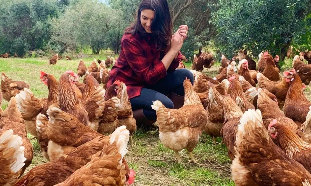 Antonella e le sue cinquantamila galline, storia di un sogno realizzato con passione e tanta forza di volontà