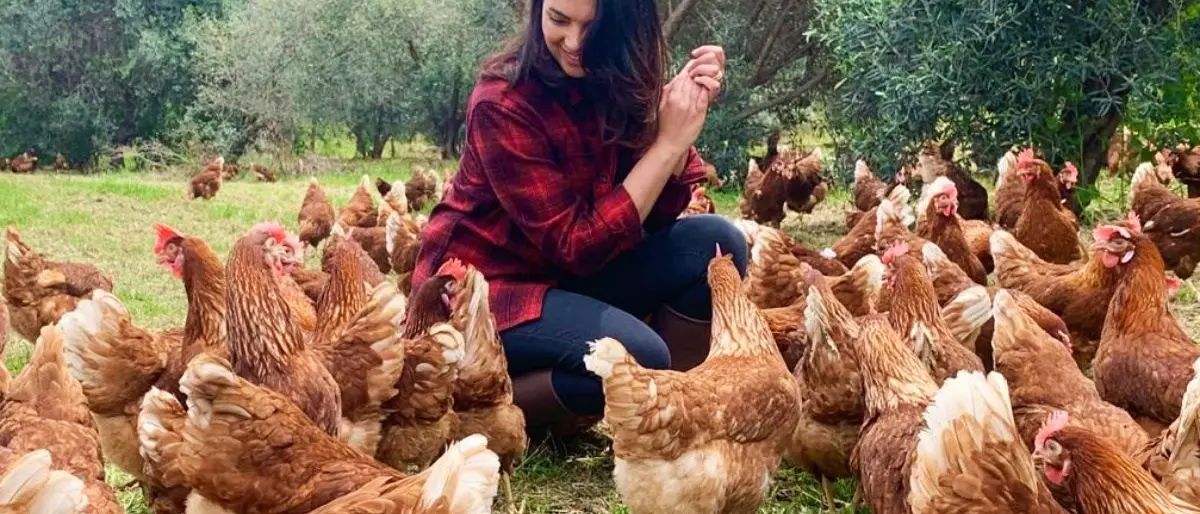 Antonella e le sue cinquantamila galline, storia di un sogno realizzato con passione e tanta forza di volontà