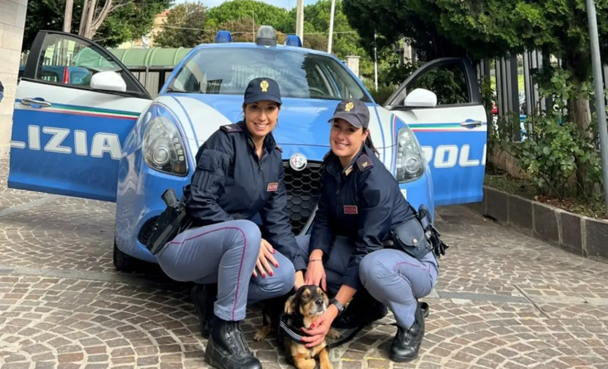 Vibo, cane investito e abbandonato a bordo strada adottato da due poliziotte