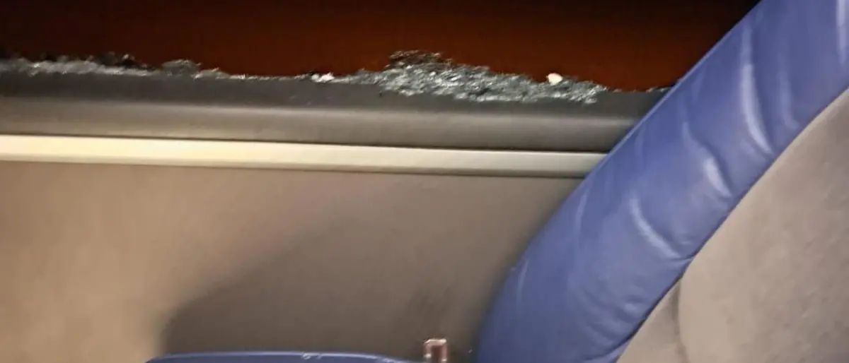 Violenze allo stadio, il sindaco di Catanzaro: «Giornata di sport macchiata da gesti inaccettabili»