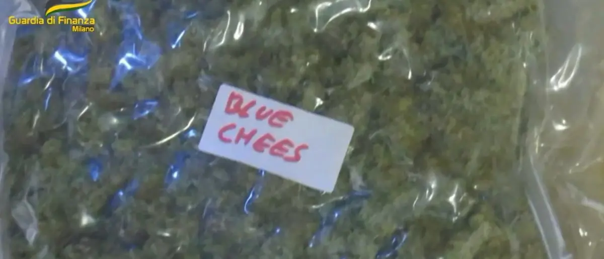 Traffico internazionale di droga, maxi operazione dei finanzieri tra Italia e Spagna: 42 misure cautelari