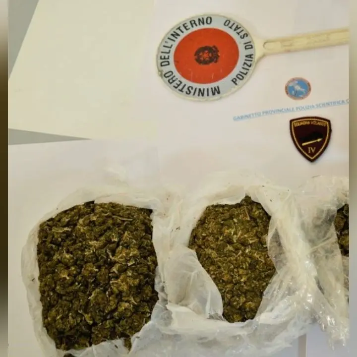 Crotone, 2 kg di marijuana rinvenuti in un edificio abbandonato: arrestato 32enne fermato all’uscita dello stabile
