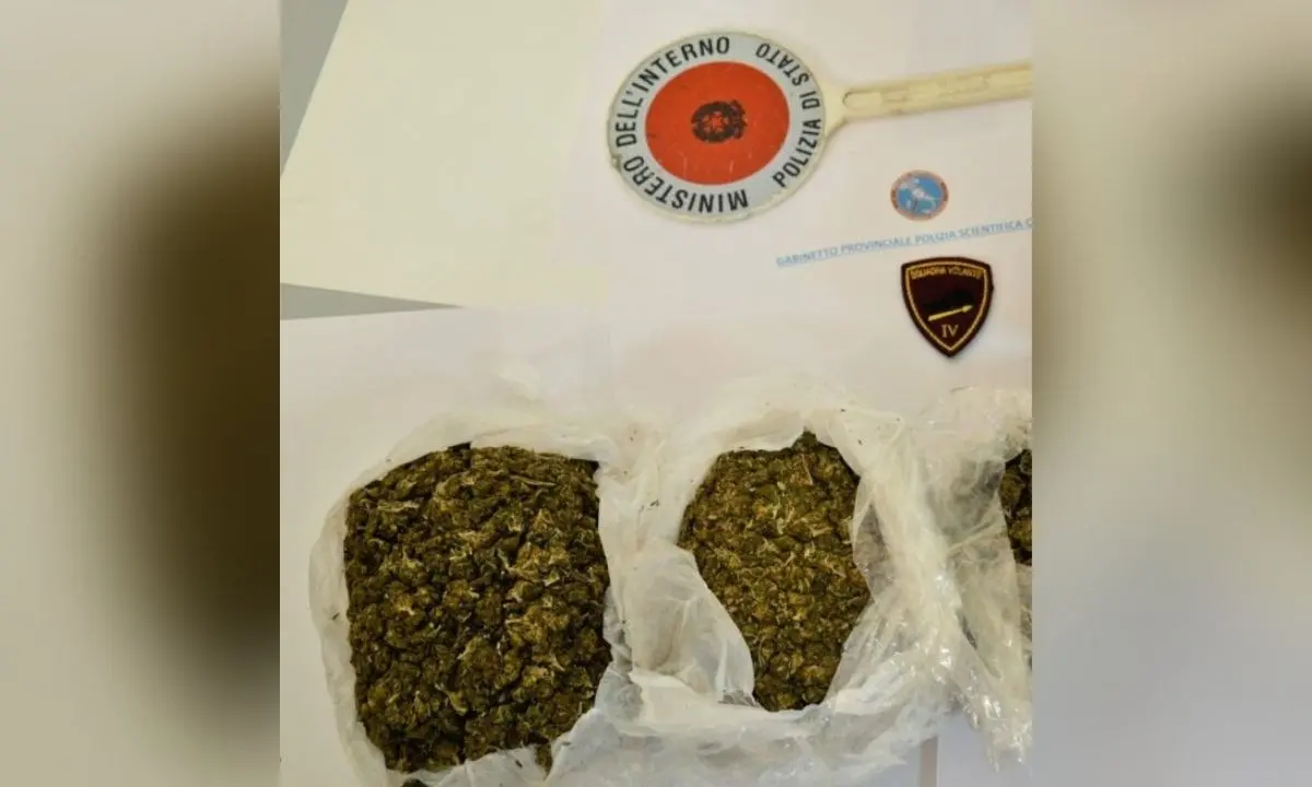 Crotone, 2 kg di marijuana rinvenuti in un edificio abbandonato: arrestato 32enne fermato all’uscita dello stabile