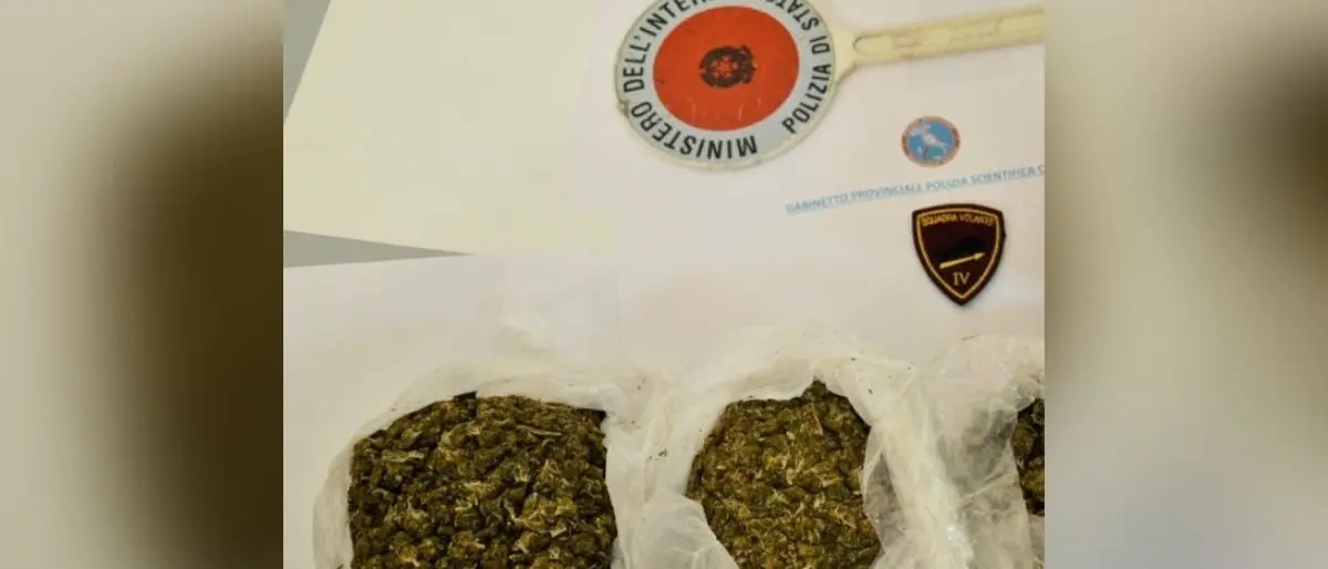 Crotone, 2 kg di marijuana rinvenuti in un edificio abbandonato: arrestato 32enne fermato all’uscita dello stabile
