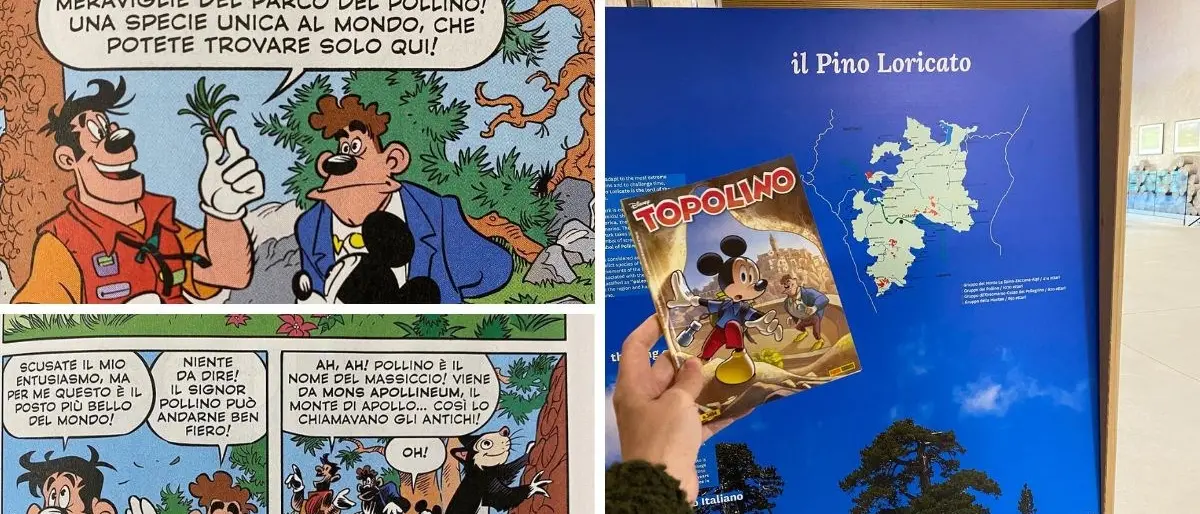 Topolino arriva sul Pollino per investigare sul pino loricato: la Calabria nell’ultimo numero del fumetto Disney