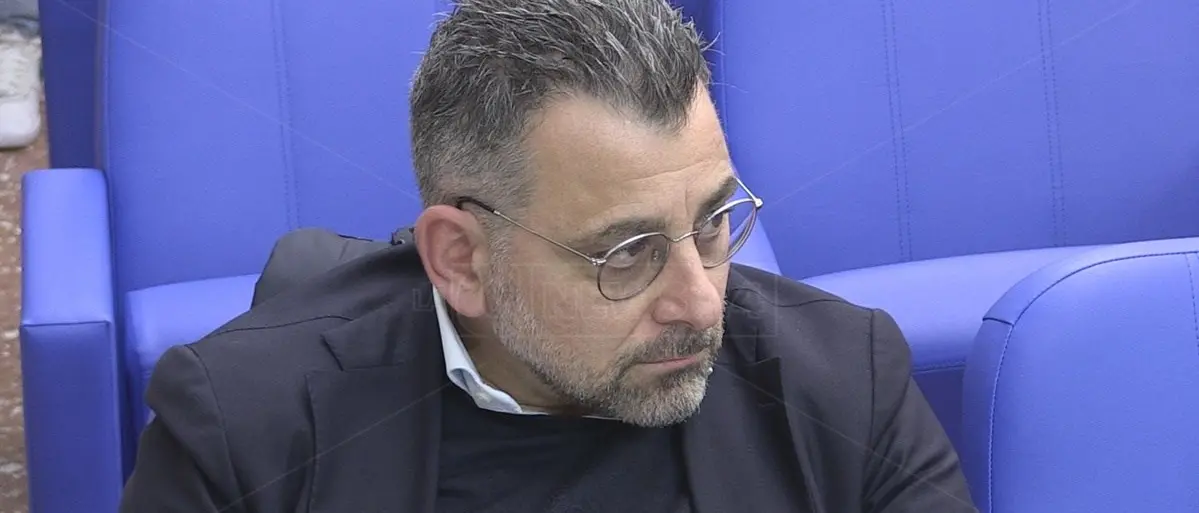 Topolino sul Pollino per il pino loricato, Montesanto: «Disney usa i marcatori identitari distintivi»