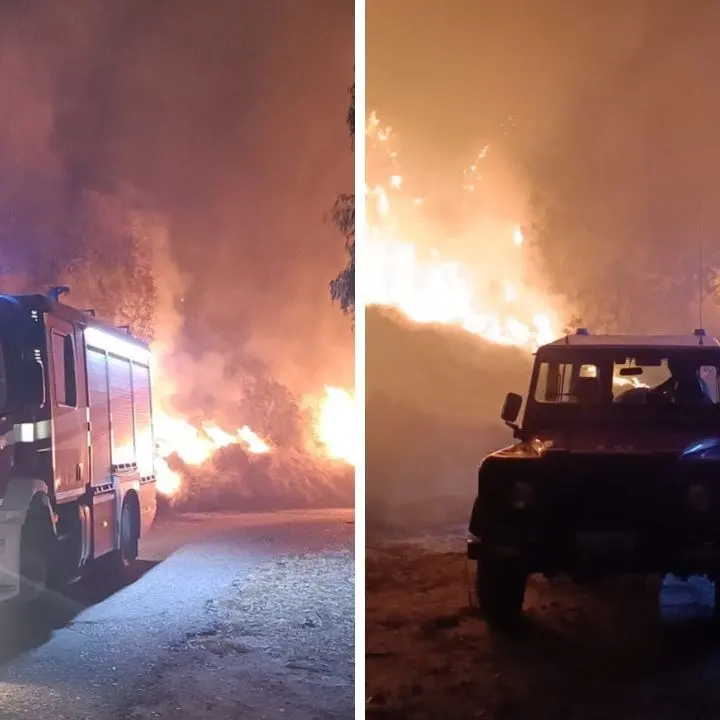 Vasto incendio a Riace, le fiamme minacciano le abitazioni: vigili del fuoco al lavoro