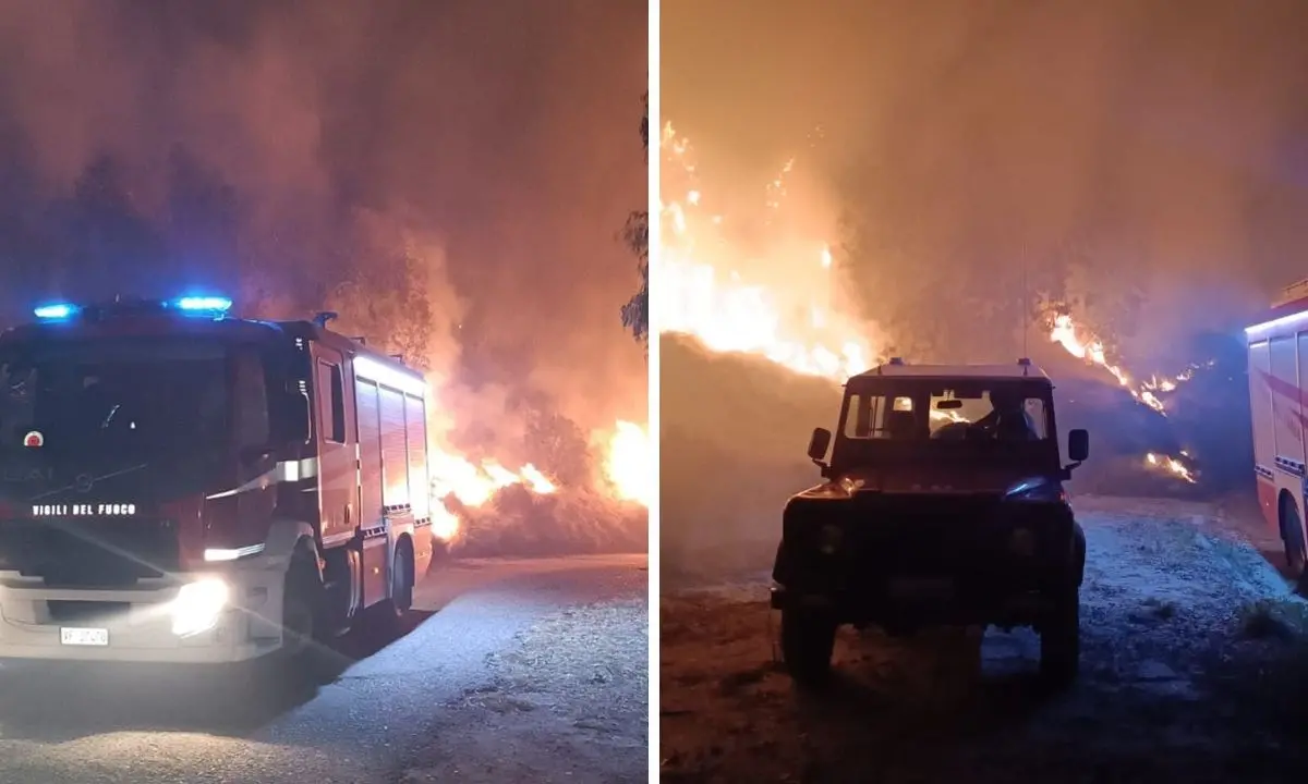 Vasto incendio a Riace, le fiamme minacciano le abitazioni: vigili del fuoco al lavoro