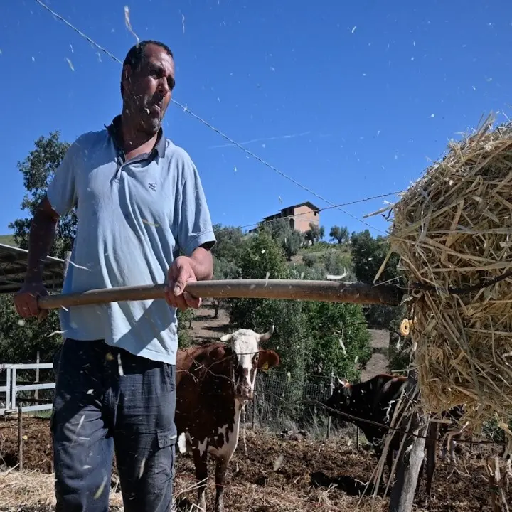 Sull’orlo del fallimento, il grido d’aiuto degli imprenditori: «I nostri sacrifici azzerati, così saremo costretti a chiudere»