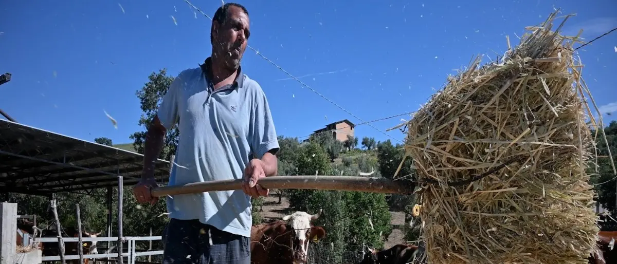 Sull’orlo del fallimento, il grido d’aiuto degli imprenditori: «I nostri sacrifici azzerati, così saremo costretti a chiudere»