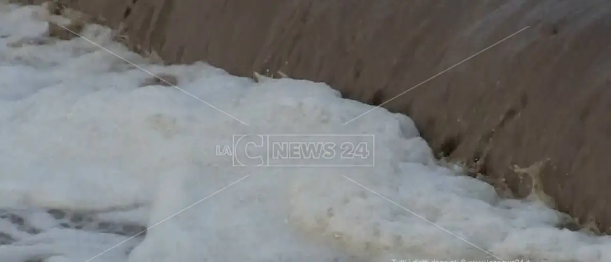 Fanghi industriali in terreno privato a Corigliano Rossano, per gli imprenditori Madeo obbligo di dimora
