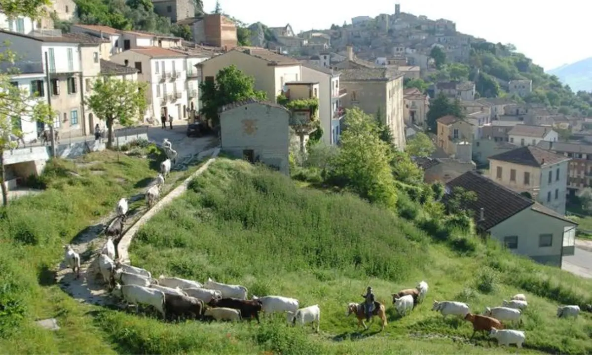 Fa troppo caldo, la Regione rimanda i termini della transumanza: mandrie nei pascoli estivi fino al 31 dicembre