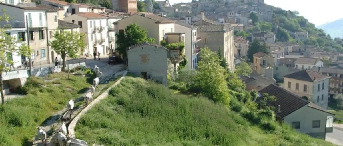 Fa troppo caldo, la Regione rimanda i termini della transumanza: mandrie nei pascoli estivi fino al 31 dicembre